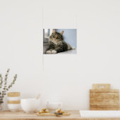 Getigerte Katze an einem Fenster Poster (Küche)