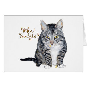 Getigerte Katze fragt: Was für ein Wellensittich?