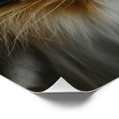 Getigerte Katze Holzleiste Poster (Ecke)