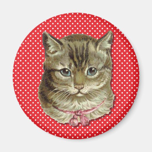 Getigerte Katze Magnet (Vorne)