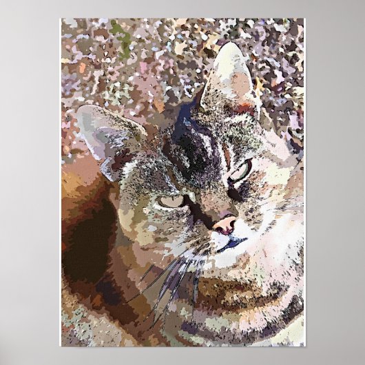 GETIGERTE KATZE POSTER (Vorne)