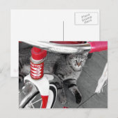 Getigerte Katze Postkarte (Vorne/Hinten)