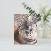 GETIGERTE KATZE POSTKARTE (Stehend Vorderseite)
