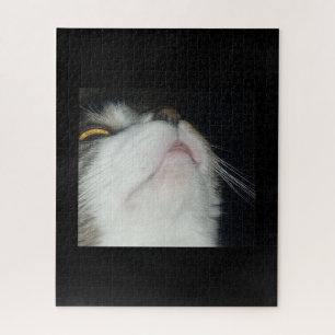 Getigerte Katze schaut hoch, Nahaufnahme vor schwa Puzzle