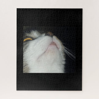 Getigerte Katze schaut hoch, Nahaufnahme vor schwa Puzzle
