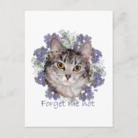 Getigerte Katze Vergissmeinnicht