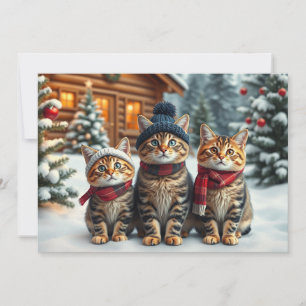 Getigerte Katzen in präparativer Winterkleidung un Feiertagskarte