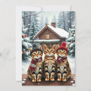 Getigerte Katzen in präparativer Winterkleidung un Feiertagskarte