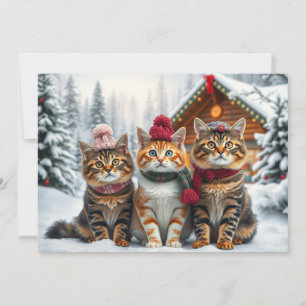 Getigerte Katzen in präparierter Winterkleidung un Feiertagskarte