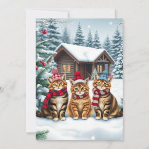 Getigerte Katzen in vornehmer Winterkleidung und H Feiertagskarte