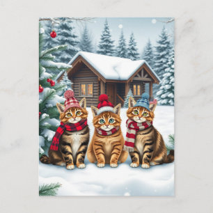 Getigerte Katzen in vornehmer Winterkleidung und H Feiertagspostkarte