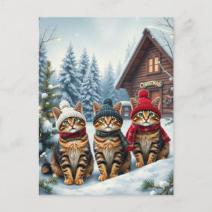 Getigerte Katzen in vornehmer Winterkleidung und H Feiertagspostkarte