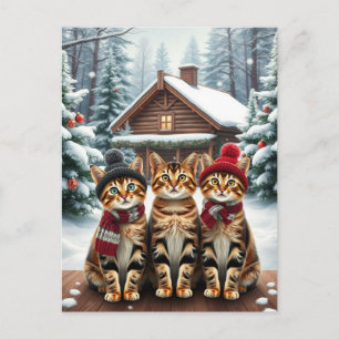 Getigerte Katzen in vornehmer Winterkleidung und H Feiertagspostkarte