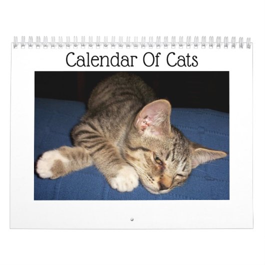 Getigerte Katzen Kalender (Titelbild)