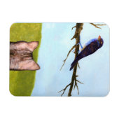 Getigerte Katzen sprechen mit Vögeln Magnet (Horizontal)