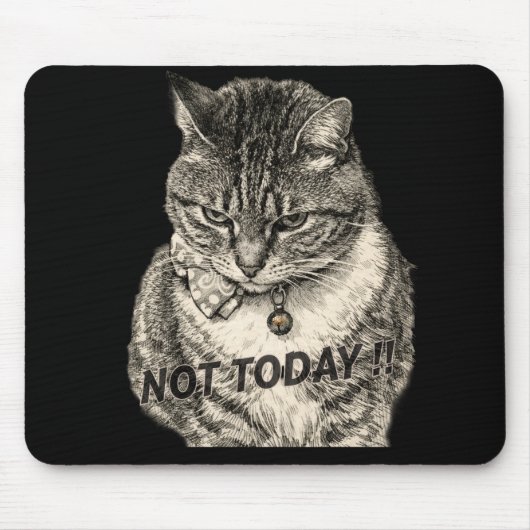 Getigerte "Tude "NICHT HEUTE" Mousepad (Vorne)