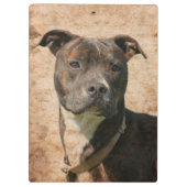 Getigerter Pitbull Klemmbrett (Rückseite)