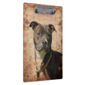 Getigerter Pitbull Klemmbrett (Rechts)