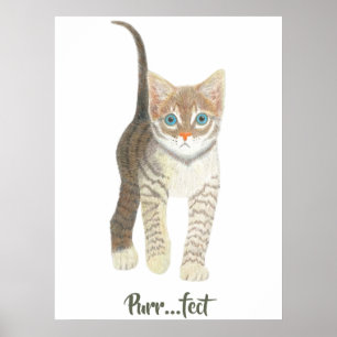 Getigertes Kätzchen Weiß Poster