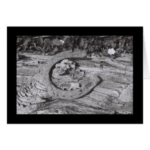 Getragenes heraus Glück