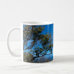 Getränk Hawaii oben Kaffeetasse