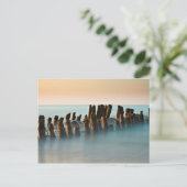 Getreide an der Ostseeküste Postkarte (Stehend Vorderseite)