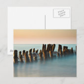 Getreide an der Ostseeküste Postkarte (Vorne/Hinten)
