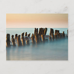 Getreide an der Ostseeküste Postkarte