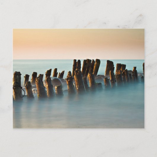 Getreide an der Ostseeküste Postkarte (Vorderseite)