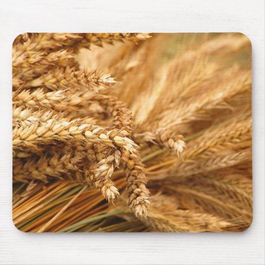 Getreide - Korn Mousepad (Vorne)