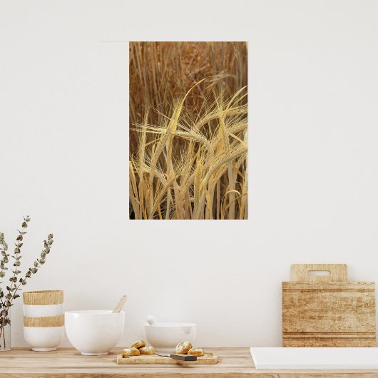 Getreide Poster (Küche)