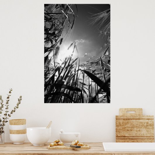 Getreide Schwarz Weiß Poster (Küche)