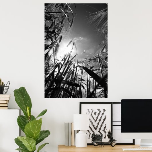 Getreide Schwarz Weiß Poster (Heimbüro)