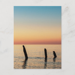 Getreide und Sonnenuntergang an der Ostsee Postkarte