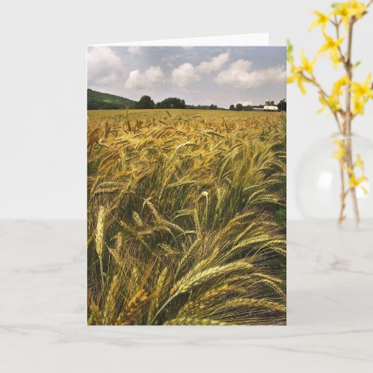 Getreidefeld Karte (Gelbe Blume)