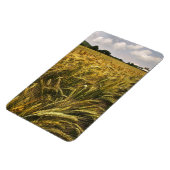 Getreidefeld Magnet (Linke Seite)