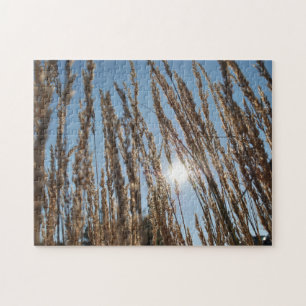 Getreidemais Feldernte Sonne Schönes Foto Puzzle