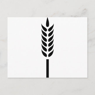 Getreidespitzen Postkarte