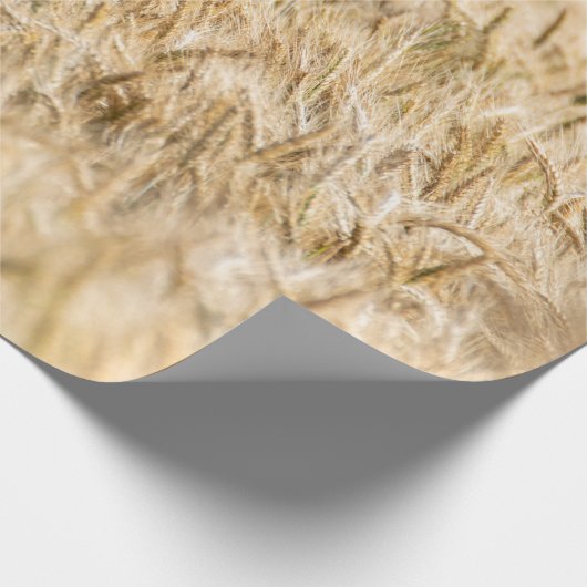 Getreidewirtschaft Geschenkpapier (Ecke)