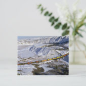 Getreidezug, Alberta, Kanada Winter Postkarte (Stehend Vorderseite)