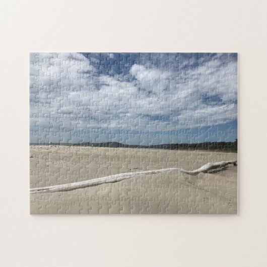 Getriebenes Holz auf Popham Strand Puzzle (Horizontal)