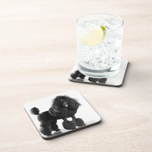 Getrimmter schwarzer Pudel Getränkeuntersetzer (Rechte Seite)