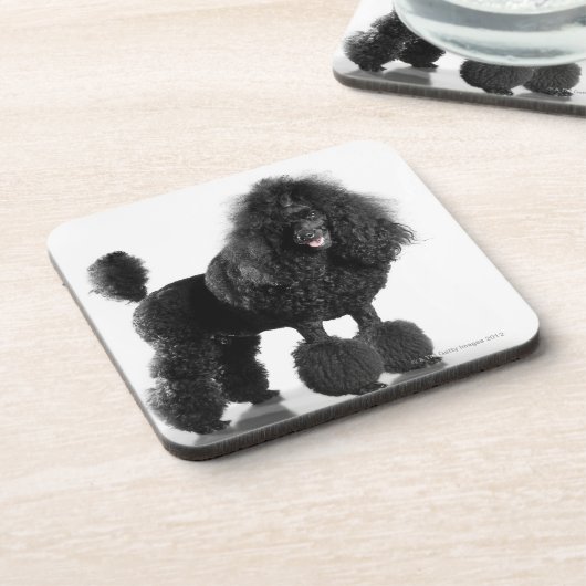 Getrimmter schwarzer Pudel Untersetzer (Linke Seite)