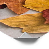 GETROCKNETE BLÄTTER AUF WEISSER KONKRETER ETAGE POSTER (Ecke)