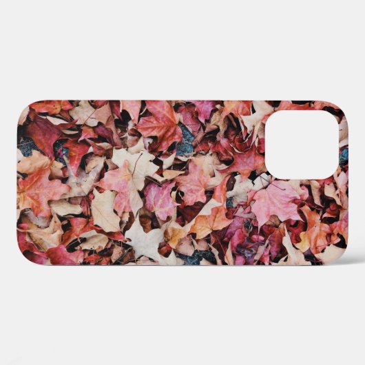 Getrocknete Blätter Case-Mate iPhone Hülle (Rückseite (Horizontal))