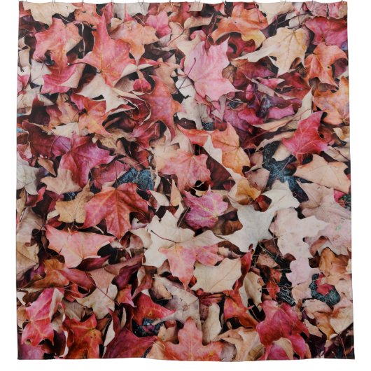 Getrocknete Blätter Duschvorhang (Vorderseite)