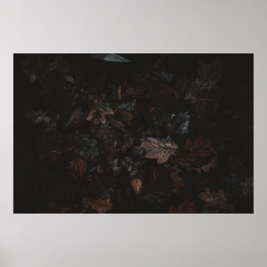 Getrocknete Blätter Poster (Vorne)