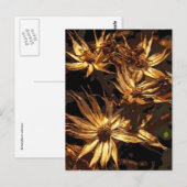 Getrocknete Blume Abstrakt Postkarte (Vorne/Hinten)