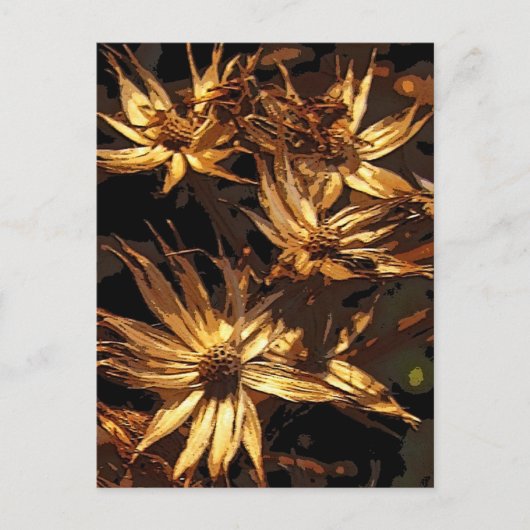 Getrocknete Blume Abstrakt Postkarte (Vorderseite)