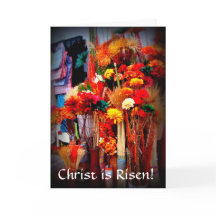 Getrocknete Blume - Vivid Marketplace Fotos